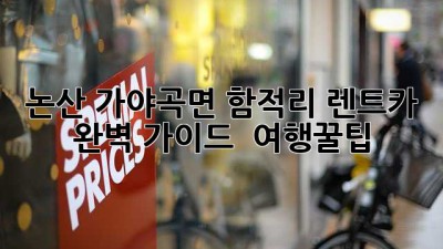 논산 가야곡면 함적리 렌트카 완벽 가이드 🚗💨 #여행꿀팁