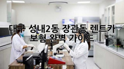 대구 성내2동 장관동 렌트카 보험 완벽 가이드